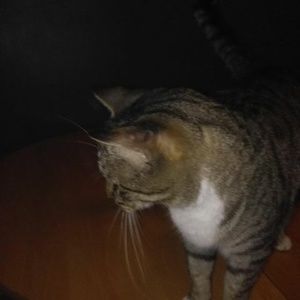 Meet your Posher, Thelma